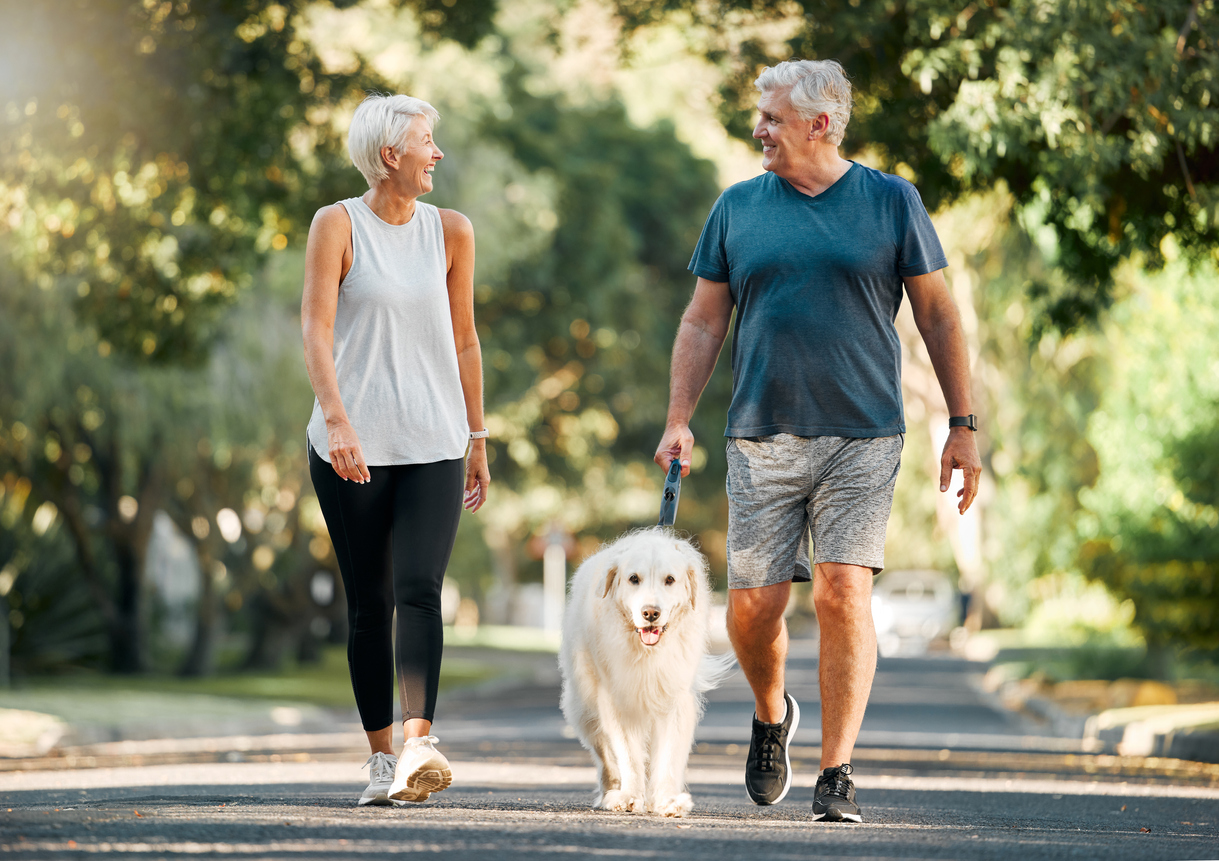 A fit, active, elderly couple walks their white dog down a tree-lined street